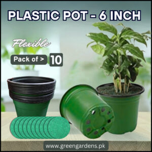 flexible nursery pots 6″ x 6″ – green (pack of 10) with free liners